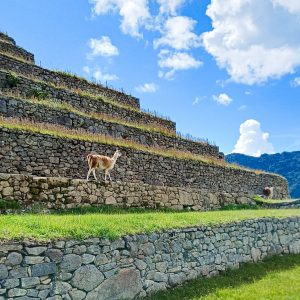 Machu Picchu, Peru